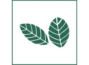 Robigo